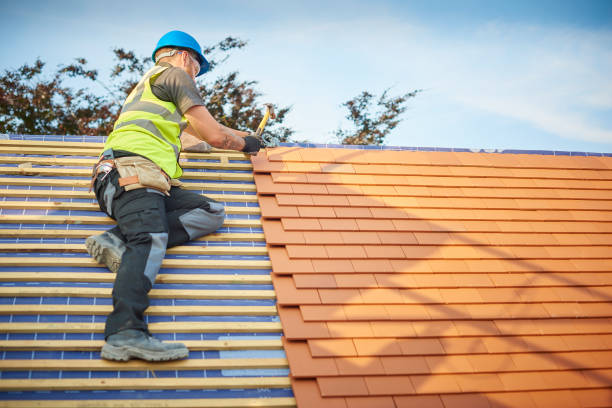 Best Steel Roofing  in Perryville, MD